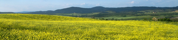 FOODIES TOUR WITH COOKING UMBRIA #53