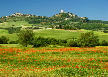 Montepulciano Tuscany