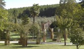 Grounds