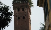 Torre Guinigi