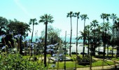 5 Panoramic View