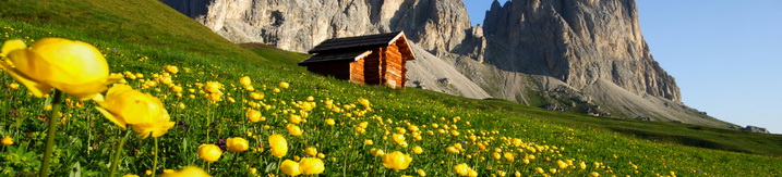 Festivals in Italy in June